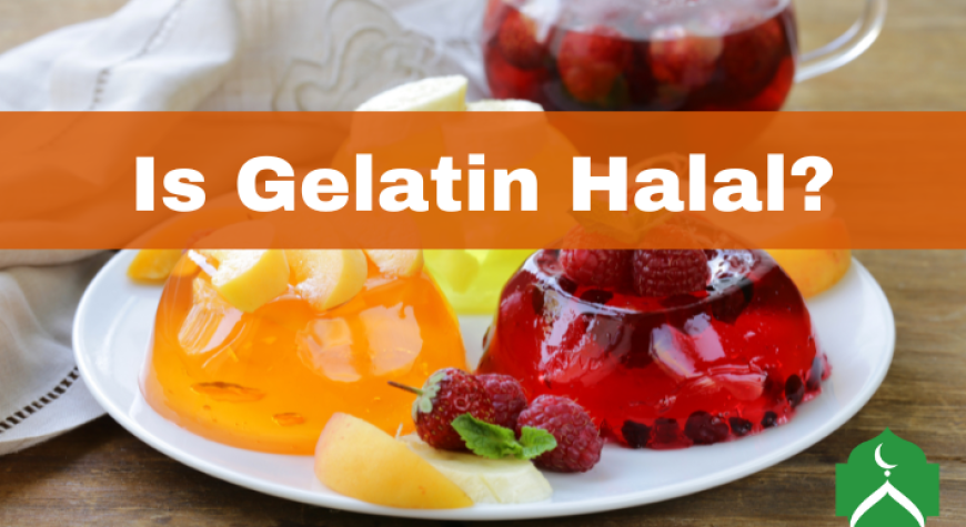 Is Gelatin Halal or Haram in Islam
